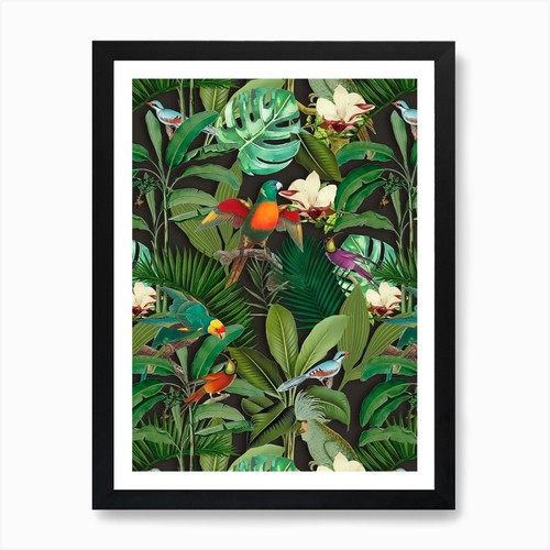 Tropical jungle birds art - birds,