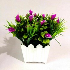 Artificial Bonsai Simulation