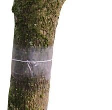 Glue Bands For Fruit Trees Grease Bands 5m Insect Control Non-Toxic 16cm Wide