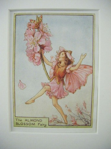 Vintage flower fairies print - flower,