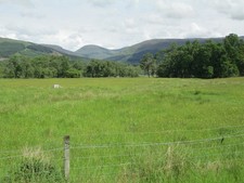 Photo A1 Pasture land near