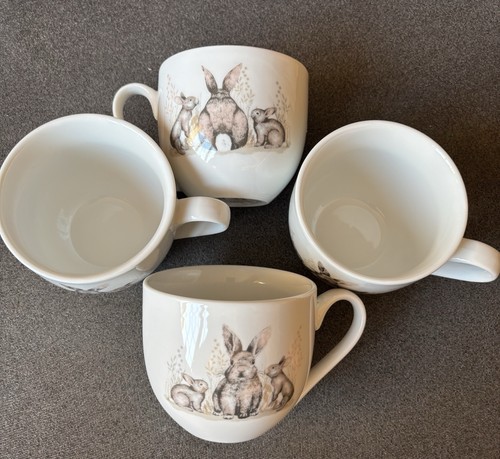 Forage bunny rabbit mugs 4 - x,
