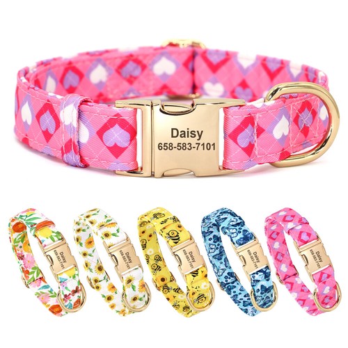 Fancy customised dog - fancy, collar