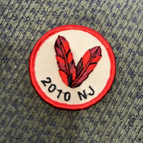 2010 boy scout - 2010,