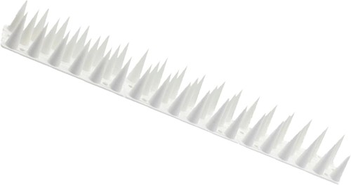 Bird pest wall spikes - wall,