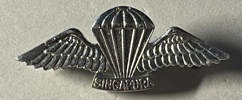 Singapore jump wings - wings,