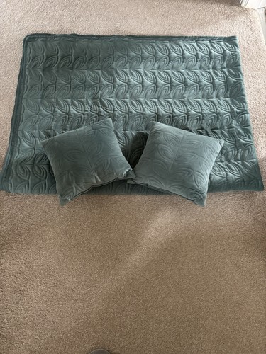 Velvet green throw plus two - throw,