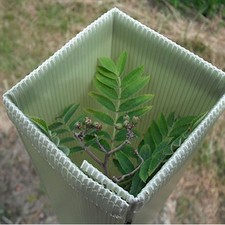 2FT DEFENDER PRO PLASTIC TREE