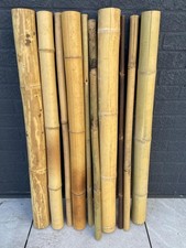 10 x Assorted Bamboo Pole Off-Cuts ( 3-9cm x 90-100cm )