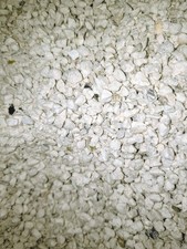 Crushed Coral - 8oz Bag Of