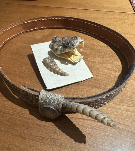 New rattlesnake skin - new, band