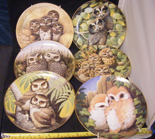 Six danbury mint owl - mint, wall