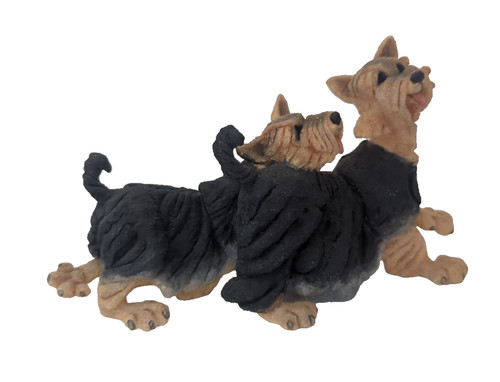 Breed apart yorkie pair - breed,