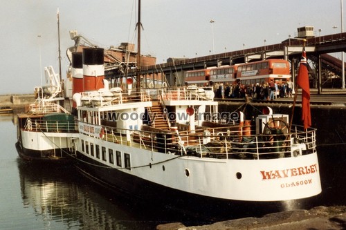 Rp03028 paddle steamer - steamer,