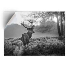 1 x Vinyl Sticker A4 - BW -