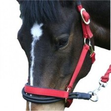 Ezyloader Headcollar Adaptor