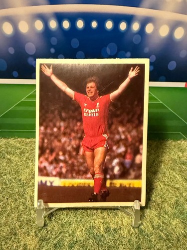 Daily mirror 1986 sticker - mirror,