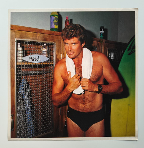 David hasselhoff the hoff - "the,