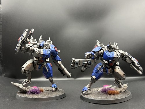Well painted twin lance tau - painted,