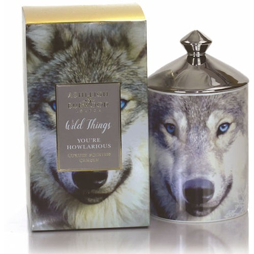 Ashleigh burwood wild things - wild,