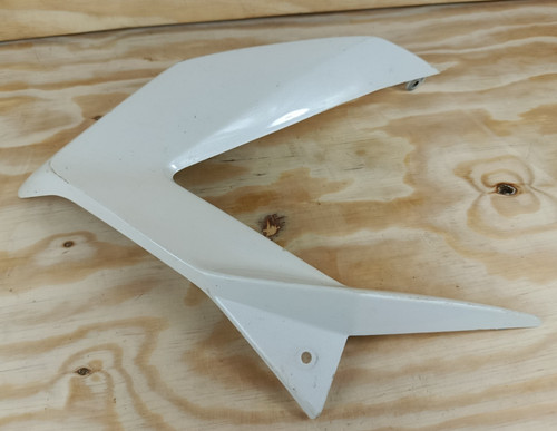 Kawasaki panel fairing - 6,
