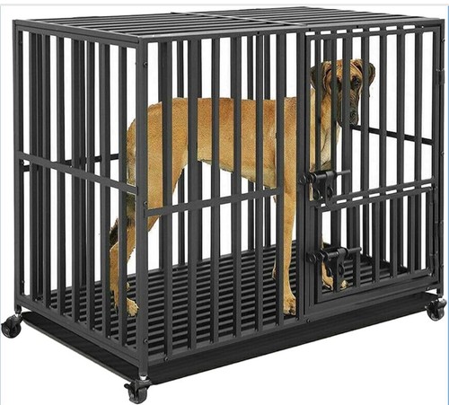 Bingopaw heavy duty dog - 38",