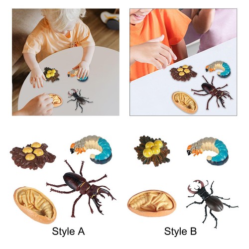 Worm animal model - worm,