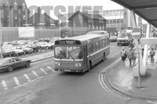35mm Black and White Negative