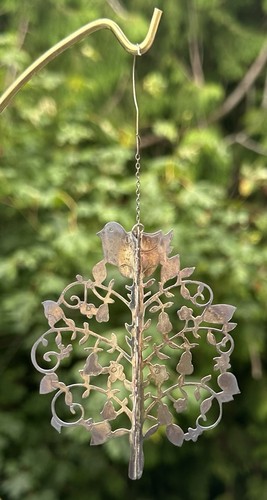 Partridge pear tree - partridge, in