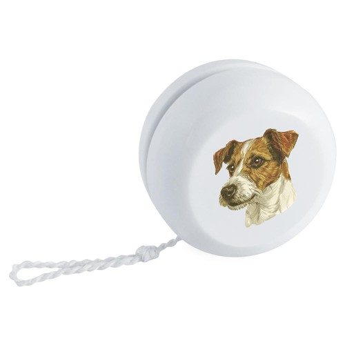 Jack russell terrier - 'jack,