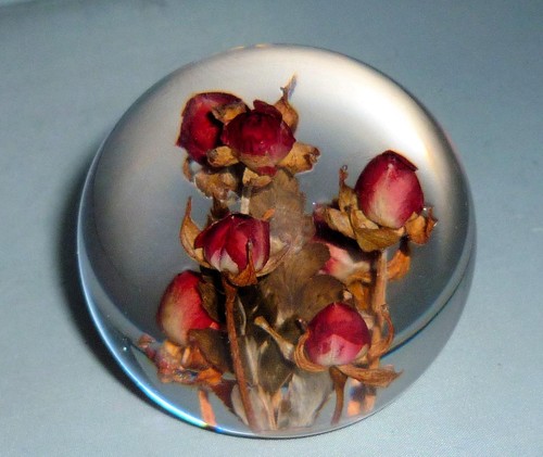 Vintage retro hippocampus - vintage,
