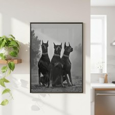 Doberman Dogs Trio Black White