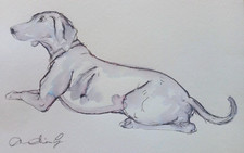 Original Small Dog Drawing