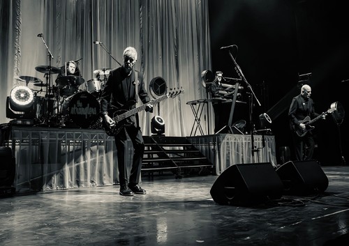 The stranglers print - the, a4