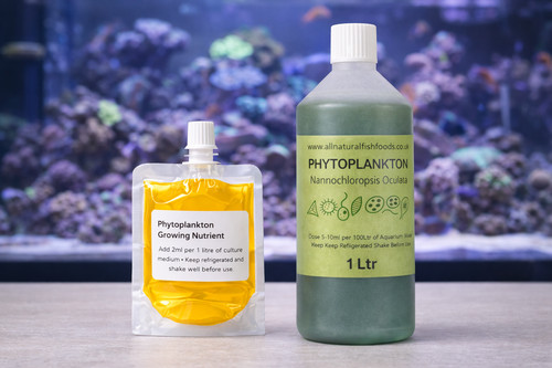 Nannochloropsis oculata 1ltr - nannochloropsis,