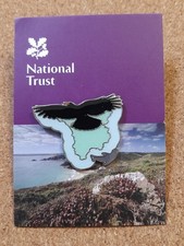 National Trust LIZARD POINT & PENROSE Chough Charity Pin Badge