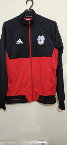 Cardiff city football track - cardiff,