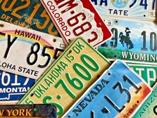 Authentic License Plates - All