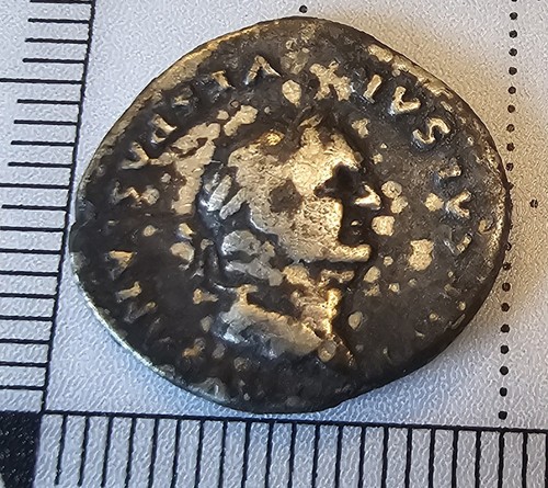 Vespasian denarius - vespasian,