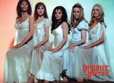 Hammer Horror By Cornerstone Entombed By CMA  Individual Trading Cards 