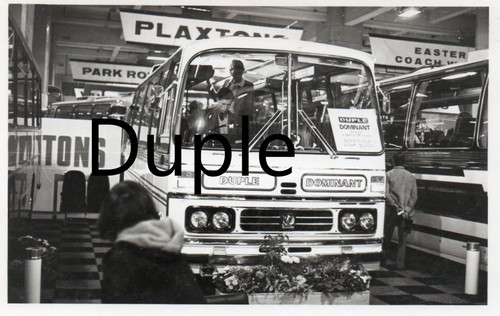 Duple dominant earls - duple, court