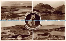 R041681 wee scotch frae - r041681, a