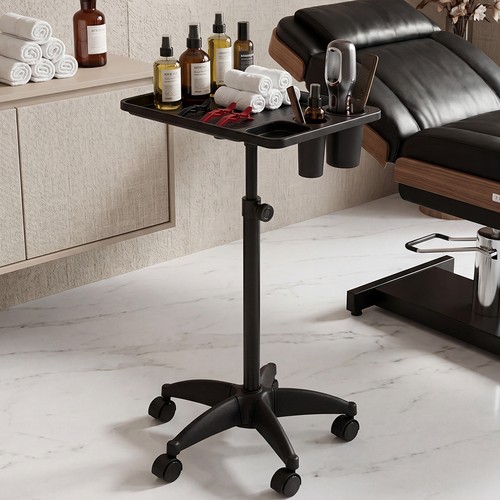 Salon spa instrument tray - spa,