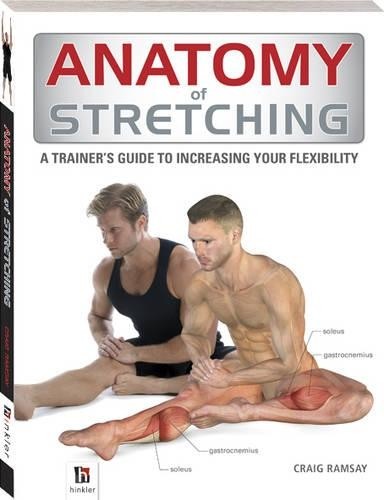 Anatomy stretching the - stretching, (the