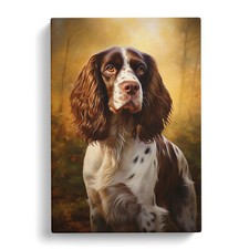 English Springer Spaniel