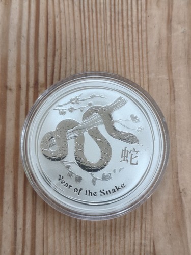 2013 year the snake - year, of