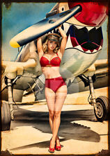 WW2 sexy pin-up war plane Spitfire P-40's P-51 Mustangs prints or metal tin