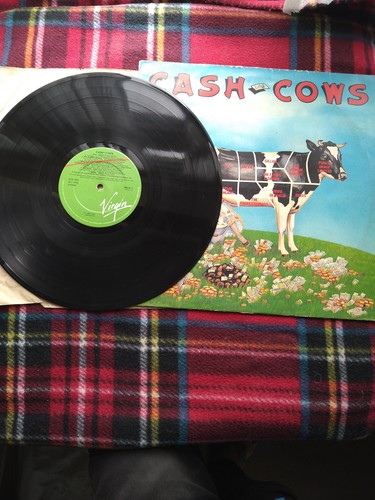 Cash cows - cash,