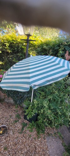 Vintage stripe garden - ,