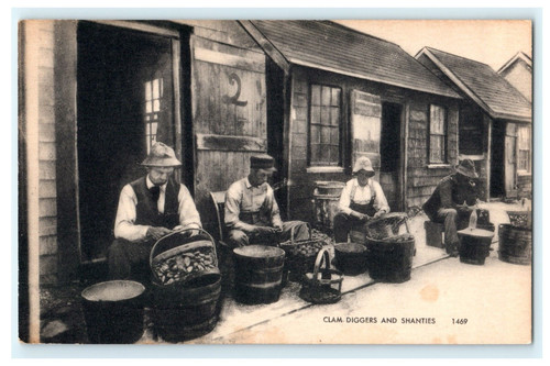 Clam diggers and - clam,